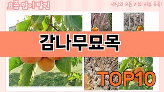 가장 많이 팔린 감나무묘목 추천 Top10!