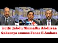 iccitii Jabdu Shimallis Abdiisaa Mummee Abiy Ahmed Qabeenya oromo essatii demaa jira | Moha Oromo