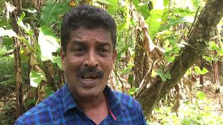 Parannu parannu parannu chellan/പറന്നു പറന്നു പറന്നു ചെല്ലാന്‍ /VJT Das