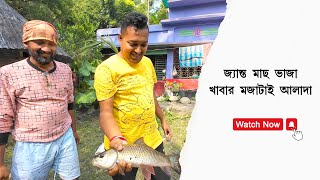 Amazing hook fishing \u0026 cooking | পুকুরের জ্যান্ত মাছ ধরে ভাজা খাওয়া হলো @villfoodrannaghar