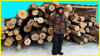 We Bought a Log Truck Load of Firewood | Unloading a Truck Full of Logs