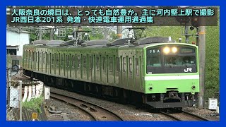 JR西日本201系【主に河内堅上駅 発着・快速通過撮影集】2021.05 JR WEST Series201 YAMATOJI  LINE【大和路線 おおさか東線】