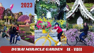 [4K] DUBAI Miracle Garden 2023 | The World’s Largest Natural Flower Garden | UAE #miraclegarden