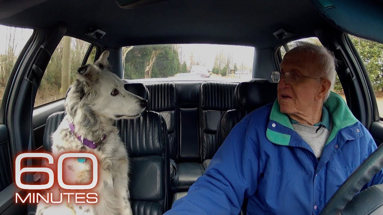 The smartest dog in the world | 60 Minutes Archive