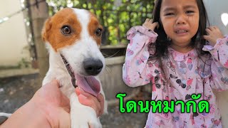 บริ้งค์ไบรท์ | โดนหมากัดร้องไห้ (หมาเล่นด้วยแรงไปหน่อย)