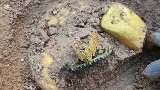 We found a lot of gold and  phrase Kansas #metaldetecting #metaldetectingtreasurehunt #treasure