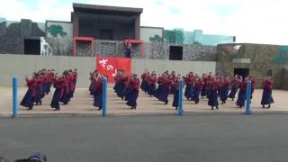 さのよいファイヤーカーニバル2016　山口県立大学奄美連合萩組（想い鶴）　グリーンスタジアム会場