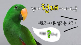 [지구/쫑알] 진짜 천재 아니야..? 지구의 쫑알타임 5탄!