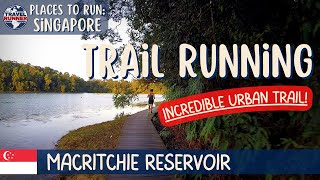 AWESOME trail run in SINGAPORE || MacRitchie Reservoir Trail