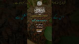 Surah An-Nahl with Urdu Translation 016 (The Bee) #Short #shorts Quran Tilawat Surat Nahl