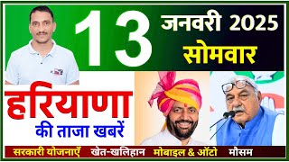 13 January 2025 Haryana News || हरियाणा की ताजा खबरें || Haryana Live News || CWB Hindi News