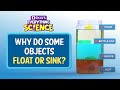 Why Do Objects Float Or Sink? | BYJU'S Everything Science #shorts