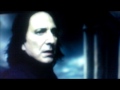 severus snape et