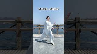 一人一句形容一下我这套拳法！#太极拳 #弘扬中华武术 #功夫 #传统文化 #随拍