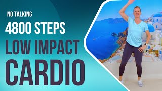 40 min Low Impact All Standing Cardio Walk at Home Workout