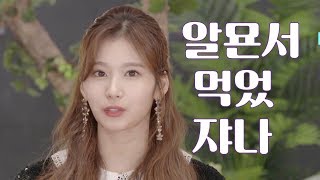 [TWICE] 트와이스 사나 - 소듕한 쿠폰을 나연 온니가 먹어서 왕 서운한 사나