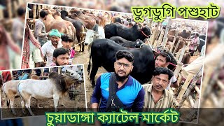 @ষাঁড় গরু শাহীওয়াল আজ বেশ অনেক আমদানি|| ডুগডুগি পশুহাট, চুয়াডাঙ্গা। 24Feb25