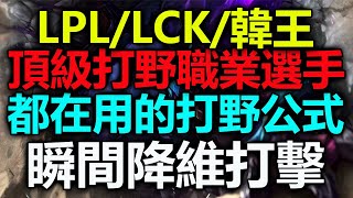 頂級職業選手都在用的打野公式干貨！讓你的打野思路絕對實打實的進步！直接教你玩懂這個版本的打野 上分如喝水！