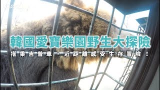 【韓國旅遊攻略】首爾愛寶樂園野生動物世界，旅遊必去的動物園！近距離接觸野生動物｜KKday