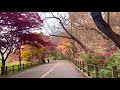 4k seoul 남산공원 세운상가 운현궁 walking from namsan park to unhyeongung on a deep autumn day