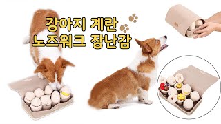 맛있는 계란~강아지 계란판 장난감 노즈워크 놀이