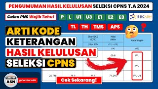 Pengumuman Hasil Seleksi CPNS 2024 – Arti Kode P, L, U1, U3, E1, E3, TMS, dll Pada Hasil CPNS 2024