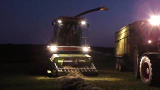 Grashäckseln 2016 mit Claas Jaguar 685 SL