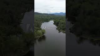 Aerial view of Perintis Lake surrounded by trees  #drone #aerial #aquaculture