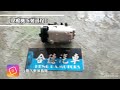 ▶✨進廠檢查更換過程 福特 福卡斯車主進廠檢查✔️