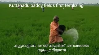 Kuttanadu paddy fields first fertilizing(കുട്ടനാട്ടിലെ നെൽ കൃഷിക്ക്  ഒന്നാമത്തെ വളം എറിയുന്ന ദൃശ്യം)