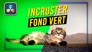 Comment INCRUSTER un FOND VERT sur DaVinci Resolve ! Tutoriel