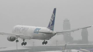 ✈逆噴射無し? F15みたいな23秒間の機首上げ減速 ANA Cargo B767 JA604F  @Narita Airport rwy34L(WX970M/成田空港)