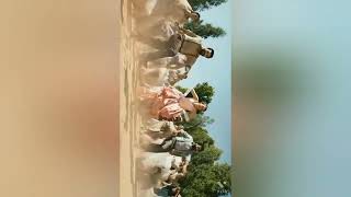 karinthol full video song(malayalam) rrr song | NRT,Ram charan |  malayalam song