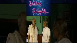 Chellamadi Nee Enakku Serial Shorts Episode - 22 - செல்லமடி நீ எனக்கு