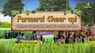 [WATVnews] Helping in vineyard, blueberry, kiwi farms | World Mission Society Church of God