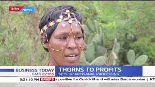 Thorns to Profits: Laikipia pastoral community exploit cactus invasive plant to make juice, yogurt