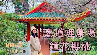 【嘉道理農場鐘花櫻桃詳細路線】嘉道理農場半日遊｜嘉道理農場｜香港好去處｜鐘花櫻桃｜嘉道理農場路線｜無敵靚景｜ 元朗｜打卡｜ 大埔｜ 行山路線｜詳細路線｜初級行山路線| 櫻花 ｜觀音山