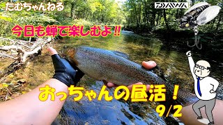 今日も『蝉』で楽しむよ‼　９/２昼活🎣