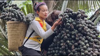 Harvesting wild fruits, bananas, weaving bamboo baskets Lý Thị Sai