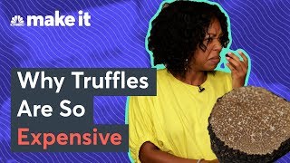 Why Truffles Are So Expensive