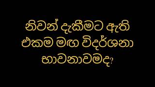 නිවන් දැකීමට ඇති එකම මඟ විදර්ශනා භාවනාවමද?