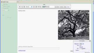 wikispace tutorial