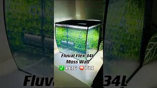 Fluval Glex 34/57L 9/15Gallon Moss Wall by Moby Lab #aquarium #aquascape #aquaristik #shrimp #Etsy