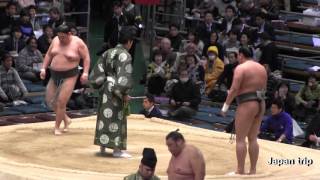 阿炎 vs つる林  2017大相撲大阪春場所4日目　SUMO Abi vs Tsurubayashi 2017 Osaka