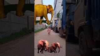 ভাইয়া ওই দেখো হাতি🐘🐘 #funny #cartoon #elephant #elephantvideo  #likeandsubscribe