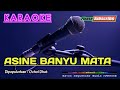 asine banyu mata ochol dhut karaoke