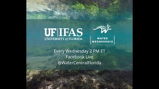 Water Wednesday - Florida's Wetlands