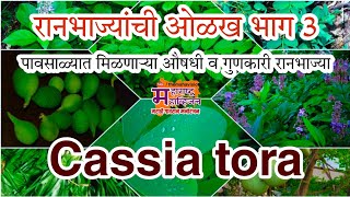 रानभाज्याची ओळख | टाकळा भाजी | Takala Wild Vegitable | Forest Vegitable | The Mahavision