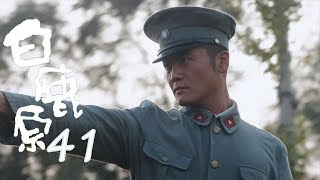 白鹿原 | White Deer 41【DVD版】（張嘉譯、秦海璐、何冰等主演）