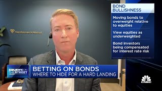 Expect a mild recession, says Northwestern Mutual's Brent Schutte
